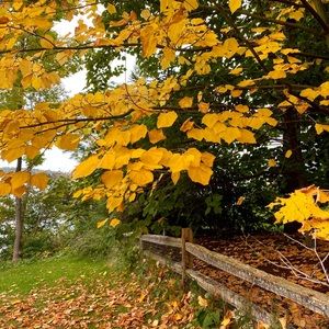 Meet your Posher, Kellie